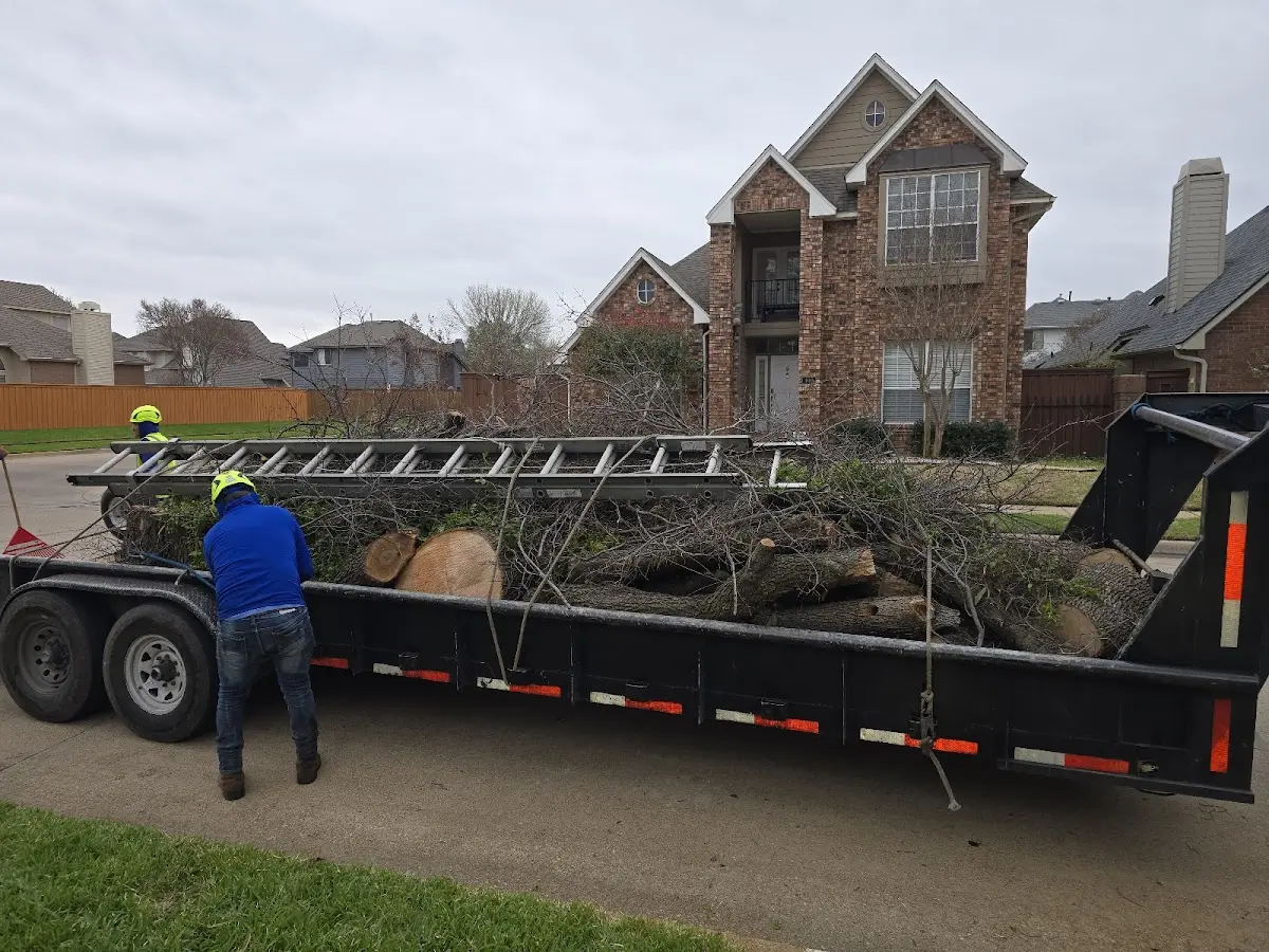 Expert Tree Fertilization with proper safety equipment in Ray